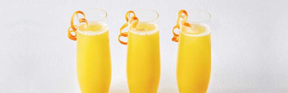 Mimosa Mimosa
