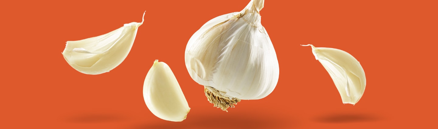 Garlic