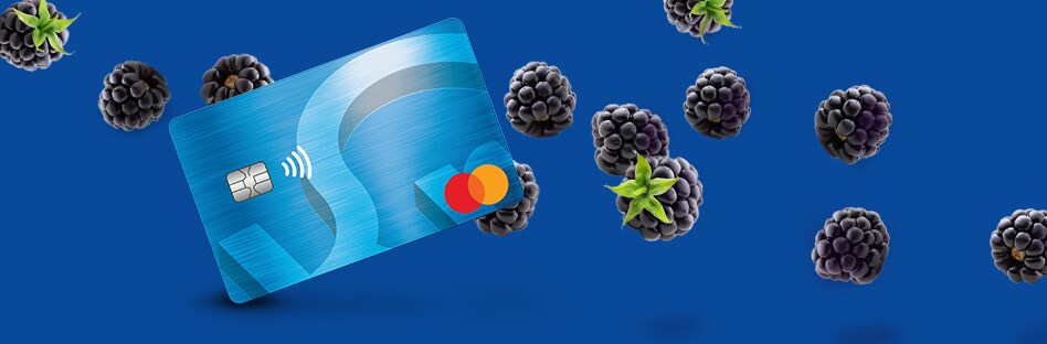 Our Credit Card Pay Less Super Markets