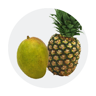 Tropical Fruits