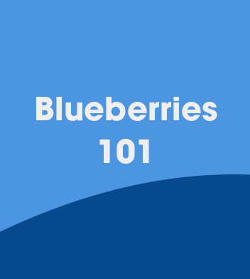 Blueberries 101