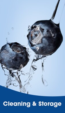 Blueberry Cleaning & Storage