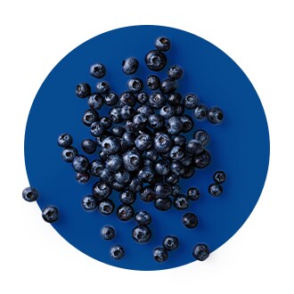 Fresh Blueberries
