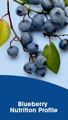 Blueberry Nutrition