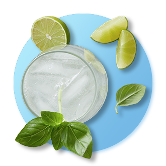 Basil- Lime Spritzer