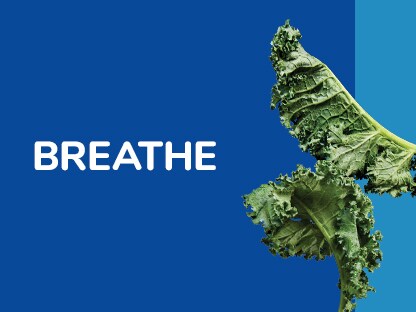 Breathe Breathe