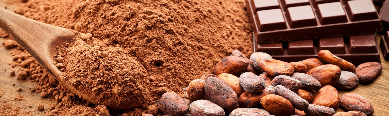 cocoa powder, cocoa nibs and a chocolate candy bar cocoa powder, cocoa nibs and a chocolate candy bar