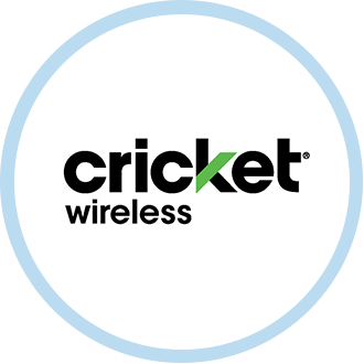 Cricket Cricket