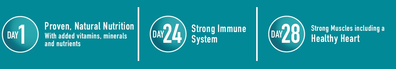 Day one. Proven, natural nutrition. Day 24 strong immune system. Day 28 strong muscles including a healthy heart